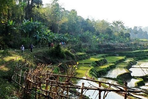 paysage du village Ban Buoc