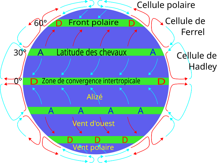 alizés chargés d’humidité