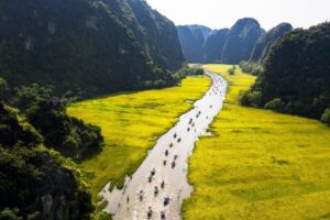 Balade en barque à Tam Cốc entre fin avril et mai au milieu des rizières