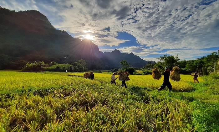 Vallée de Lam Thuong, en province de Yen Bai, à 5h de Hanoi