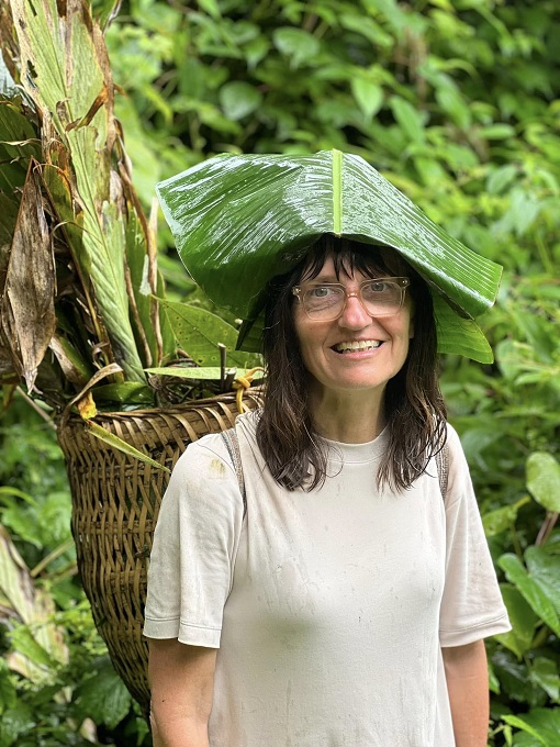 Cueillette des plantes médicinales dans la forêt Sapa Cueillette des plantes médicinales dans la forêt Sapa