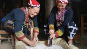 Les Dao rouges Sapa