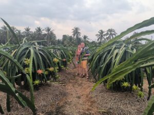 Delta du Mekong hors des sentiers battus - visites